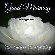 Load image into Gallery viewer, Arc Men&#39;s Shirt format m4v